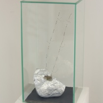 MM, 2013